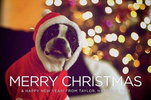 Merry Christmas!